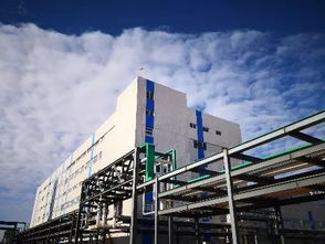 喜報(bào) 中化鋰電產(chǎn)業(yè)又一重大項(xiàng)目在浙江長(zhǎng)興開(kāi)建