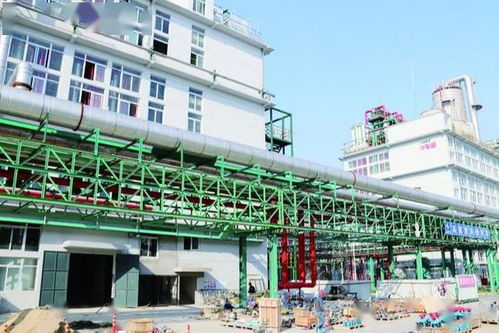 重大項目建設 進行時 二十二 ④